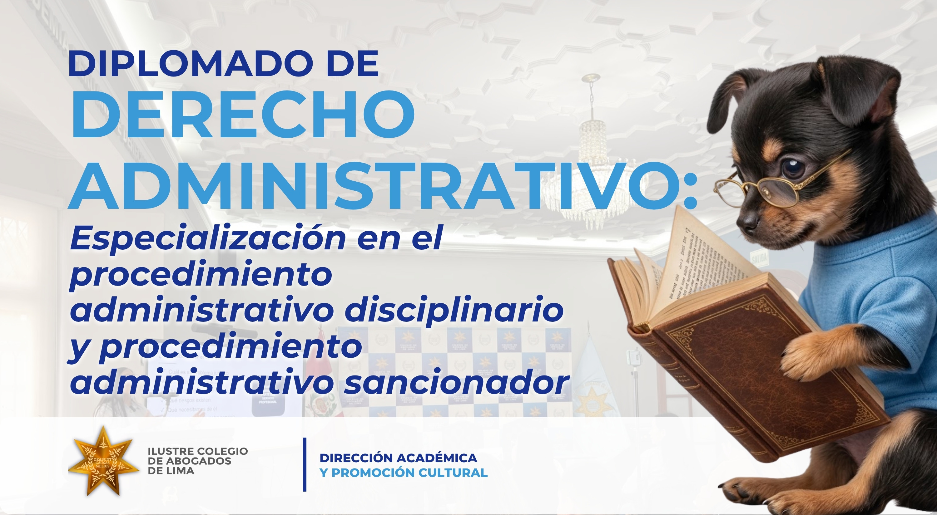 Derecho Administrativo: Especialización en el procedimiento administrativo disciplinario y procedimiento administrativo sancionador